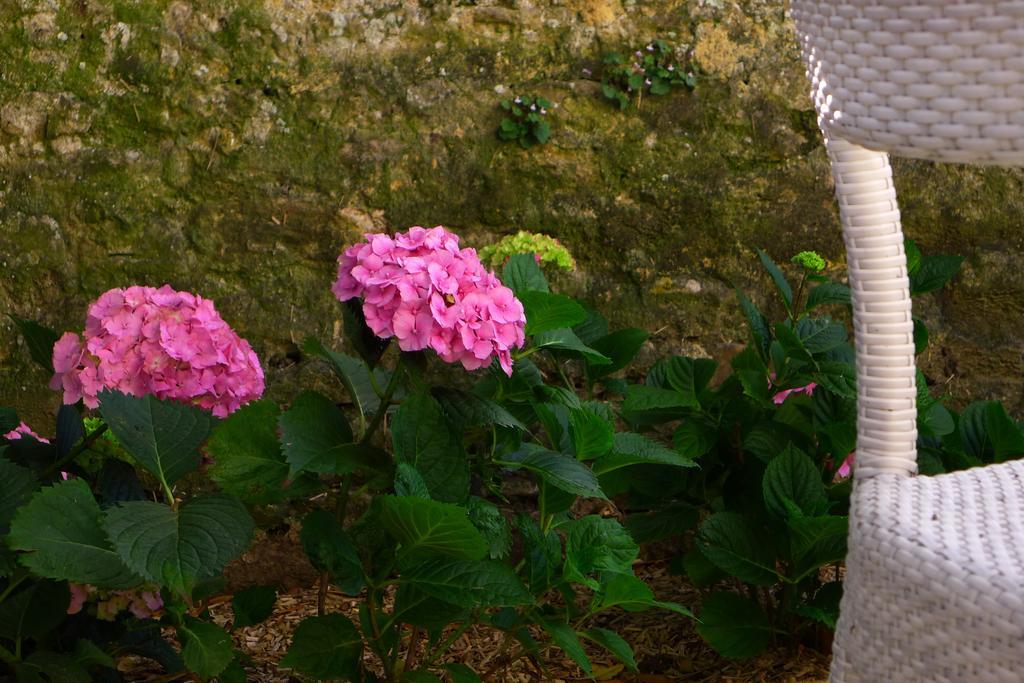 La Villa Graziella Arromanches-les-Bains Eksteriør billede